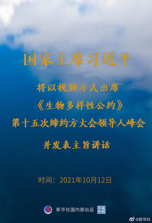 1127944281_16339142943161n